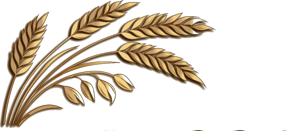 VRIESSA logo